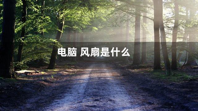 电脑 风扇是什么