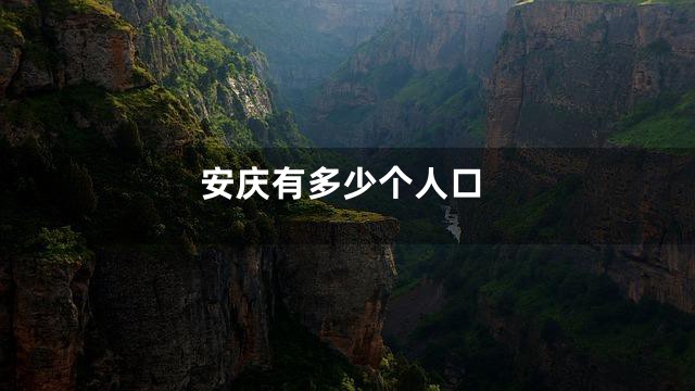 安庆有多少个人口