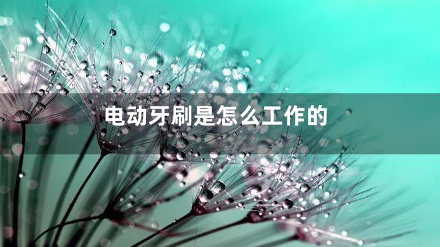 电动牙刷是怎么工作的