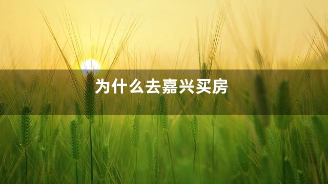 为什么去嘉兴买房