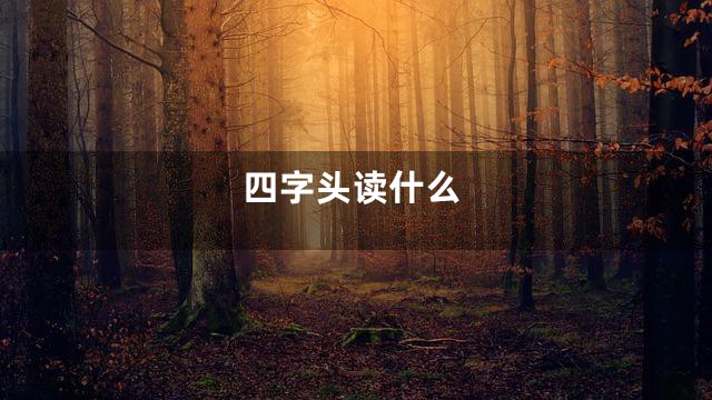 四字头读什么