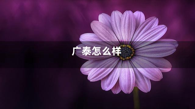 广泰怎么样