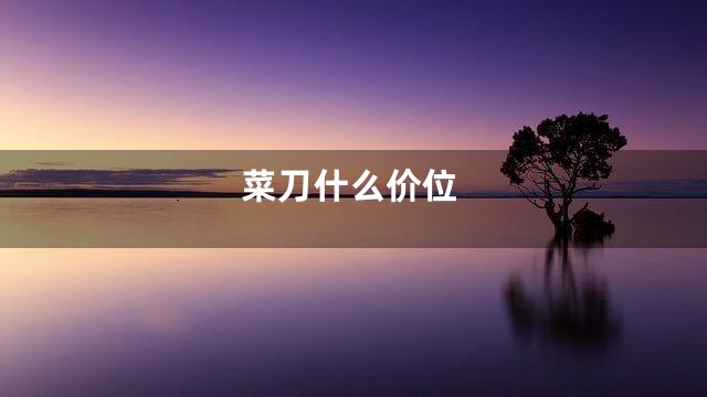 菜刀什么价位