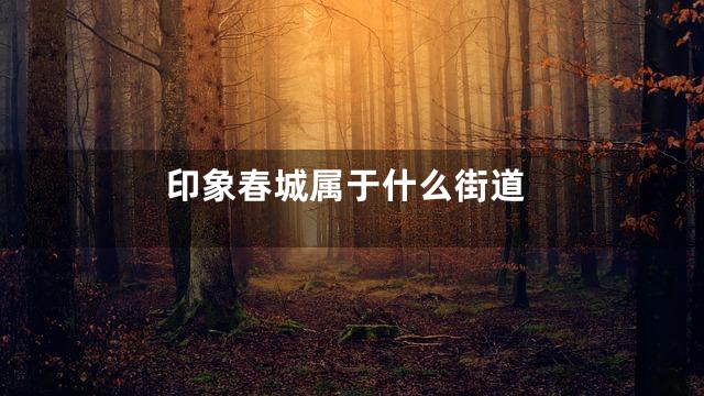 印象春城属于什么街道