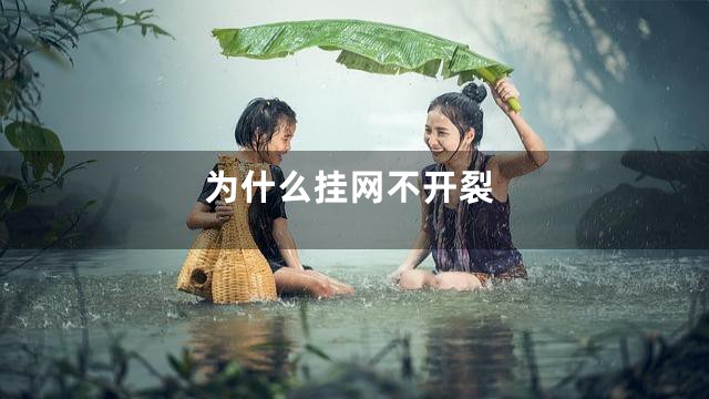 为什么挂网不开裂
