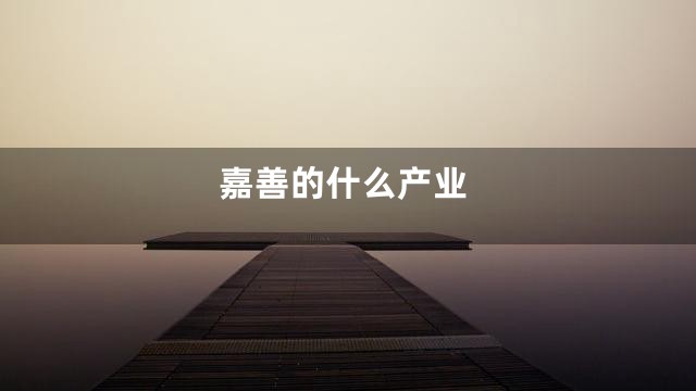 嘉善的什么产业