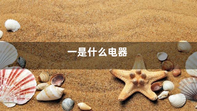 一是什么电器