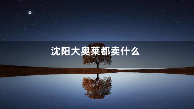 沈阳大奥莱都卖什么