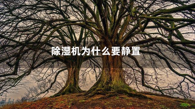 除湿机为什么要静置