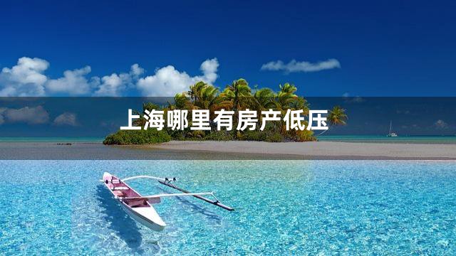 上海哪里有房产低压