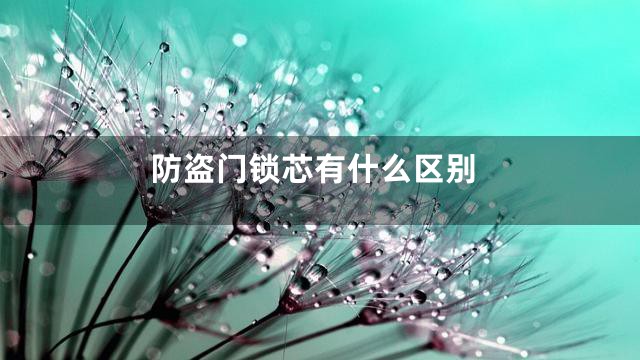 防盗门锁芯有什么区别