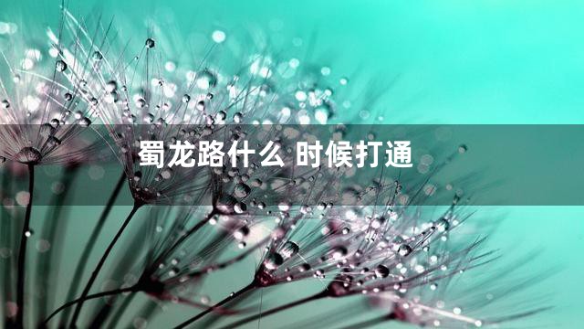 蜀龙路什么 时候打通
