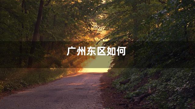 广州东区如何