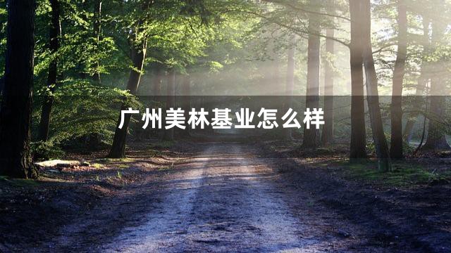 广州美林基业怎么样