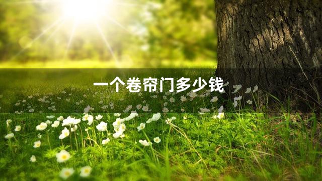 一个卷帘门多少钱