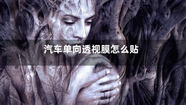 汽车单向透视膜怎么贴