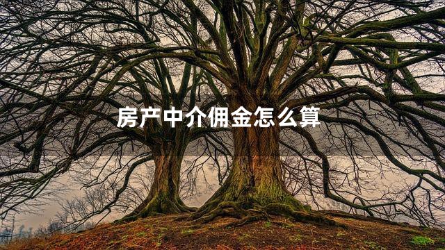 房产中介佣金怎么算