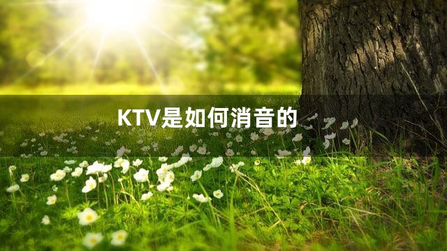 KTV是如何消音的