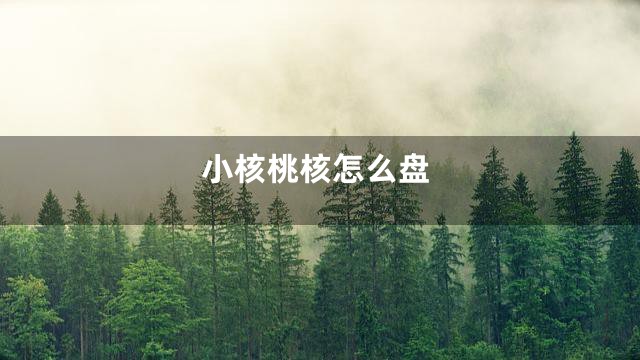 小核桃核怎么盘