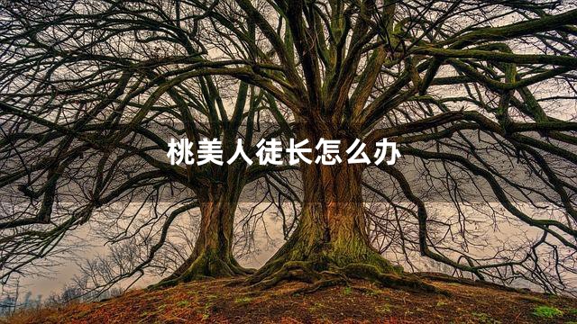 桃美人徒长怎么办