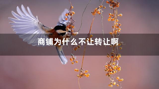 商铺为什么不让转让啊