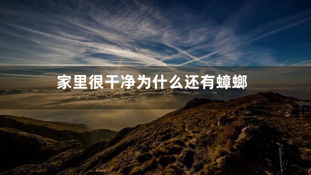 家里很干净为什么还有蟑螂
