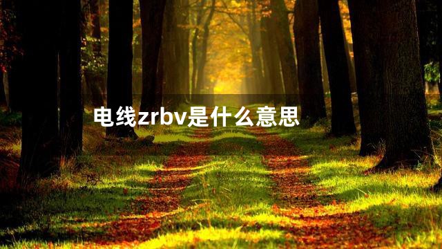 电线zrbv是什么意思