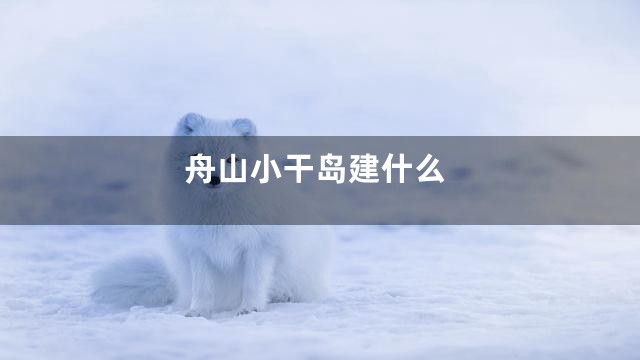 舟山小干岛建什么