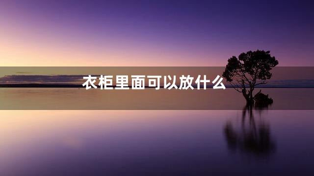 衣柜里面可以放什么