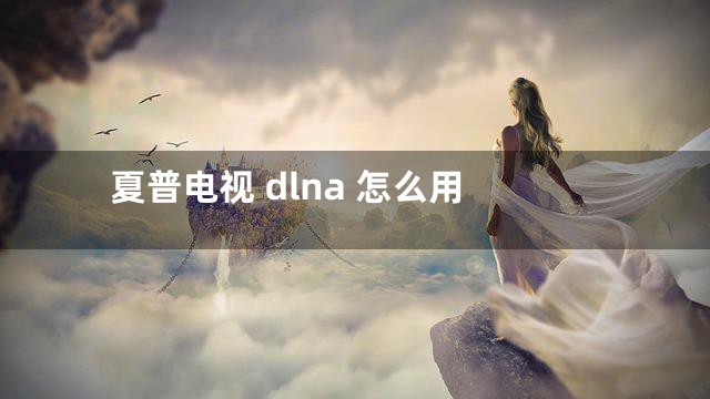 夏普电视 dlna 怎么用