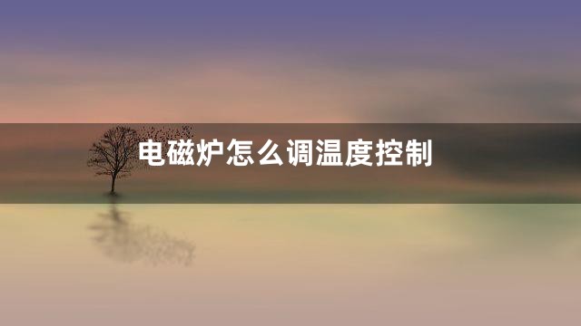 电磁炉怎么调温度控制