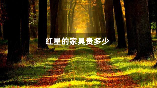红星的家具贵多少
