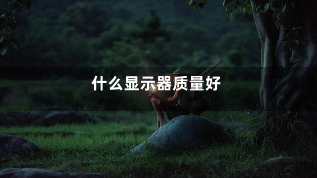 什么显示器质量好