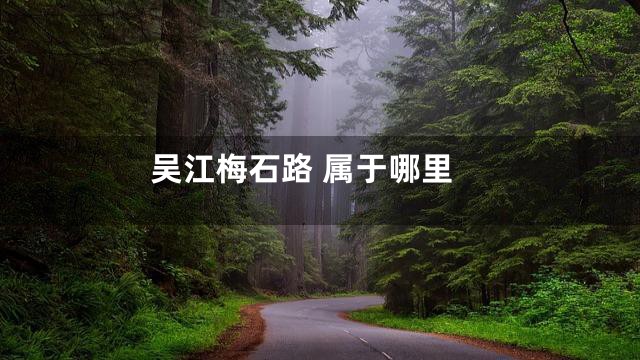 吴江梅石路 属于哪里