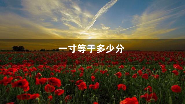 一寸等于多少分