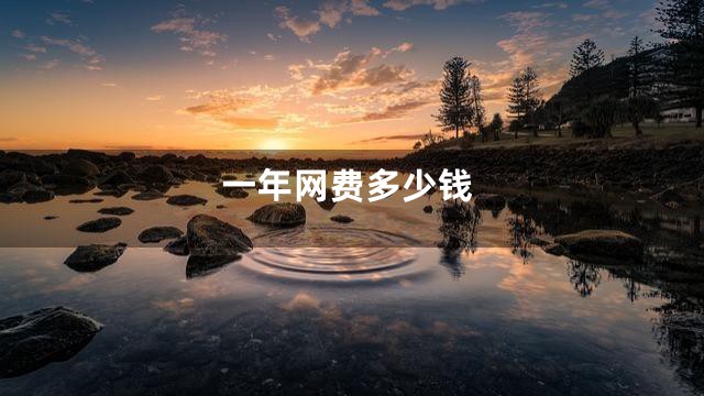 一年网费多少钱