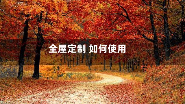 全屋定制 如何使用