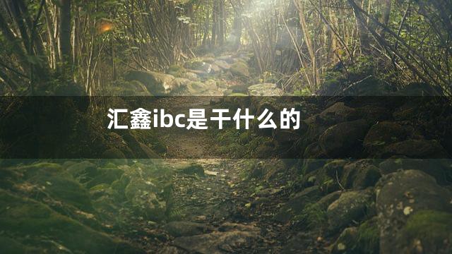 汇鑫ibc是干什么的
