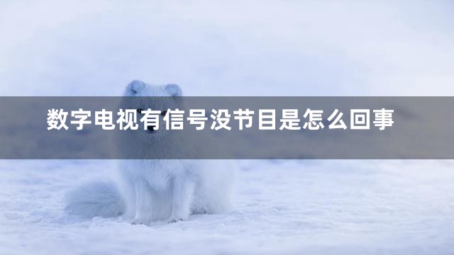 数字电视有信号没节目是怎么回事