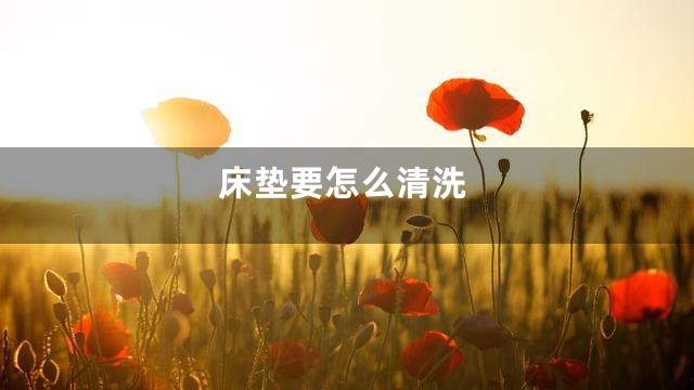 床垫要怎么清洗