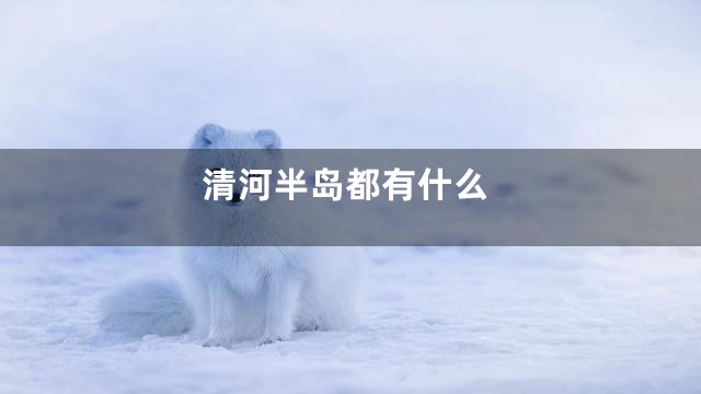 清河半岛都有什么