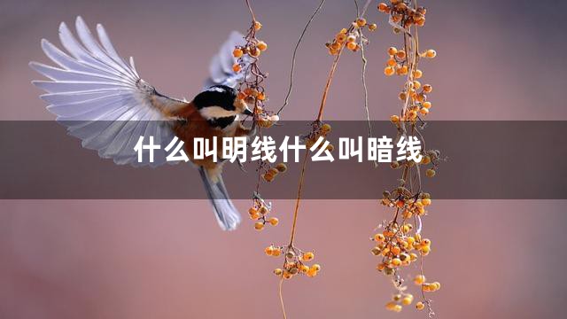 什么叫明线什么叫暗线