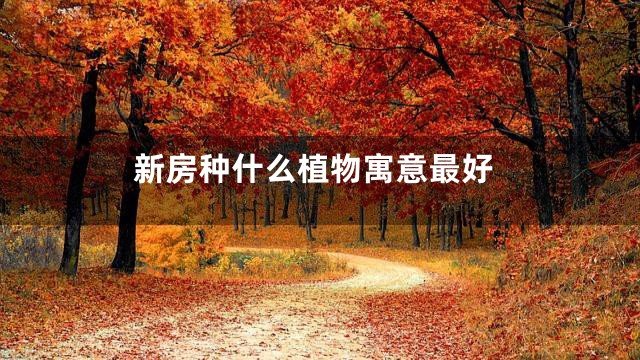 新房种什么植物寓意最好