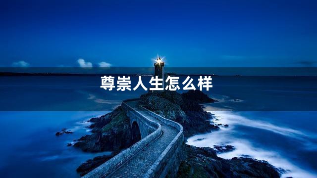 尊崇人生怎么样