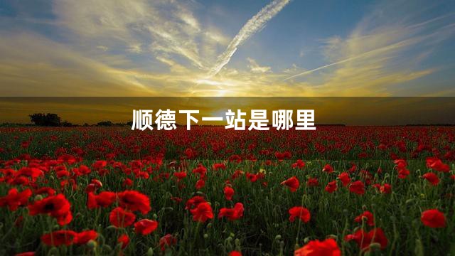 顺德下一站是哪里