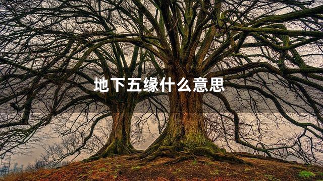 地下五缘什么意思