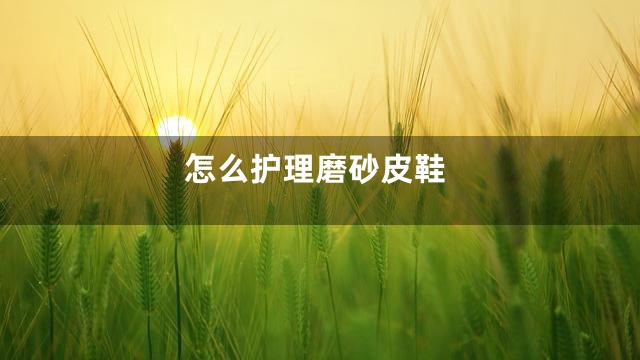 怎么护理磨砂皮鞋