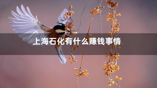 上海石化有什么赚钱事情