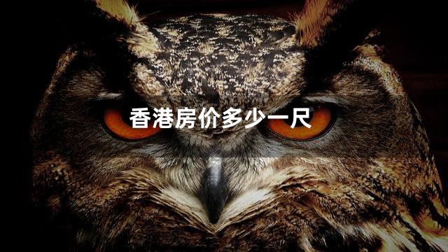 香港房价多少一尺