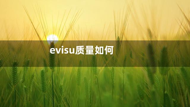 evisu质量如何